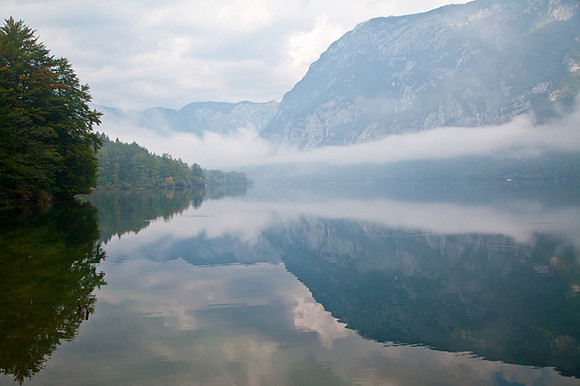 REFLECTION