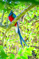 Costa Rica  01/2020