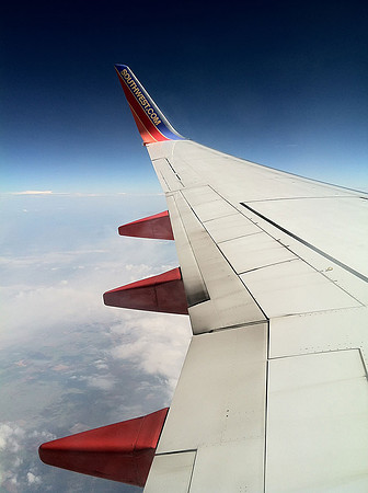 Flying home