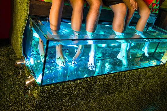 fish pedicure