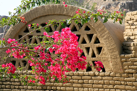 Flowers and Stone