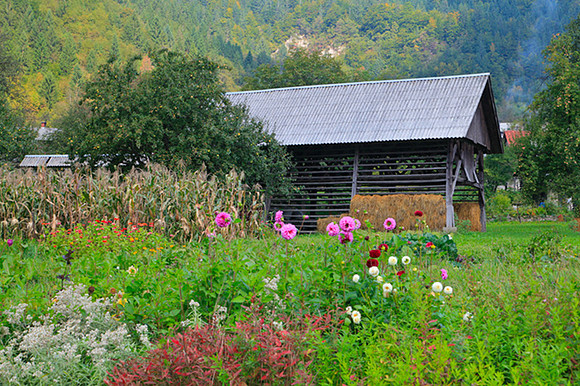 HAY RACKS