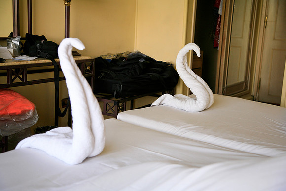 Cobras guarding our beds on Nile cruise