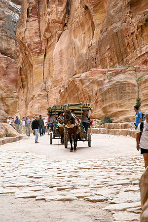 Petra Charriots